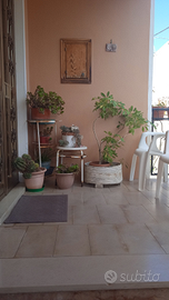 Appartamento da subito sino a maggio 2026