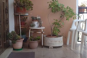 Appartamento da subito sino a maggio 2026