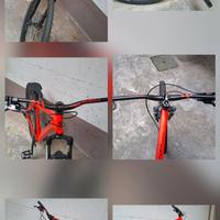 Wheelie bike Nuova appena assemblata 29 pollici M