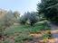 Immagine 14