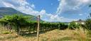 ter-agricolo-a-caprino-veronese