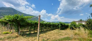 TER. AGRICOLO A CAPRINO VERONESE