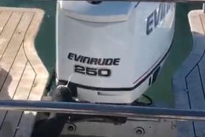 Fuoribordo e-tec 250