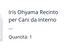 Immagine 4