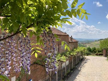 ANTICA PROPRIETA' RURALE IN LANGA