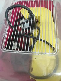 contenitore per tartarughe 