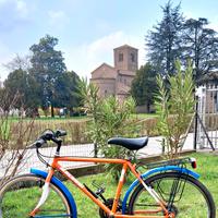 Bicicletta  da  ragazzo
