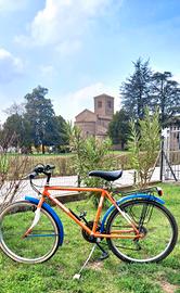 Bicicletta  da  ragazzo