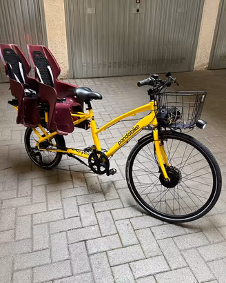 Panda bike 2 kids - cargo e-bike