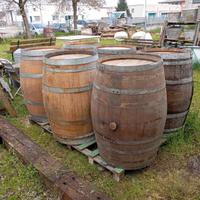 Botti in rovere per riuso creativo cm 95x65