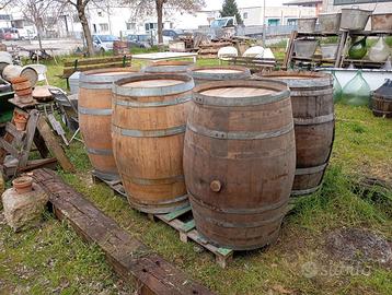 Botti in rovere per riuso creativo cm 95x65