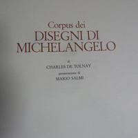 CORPUS di MICHELANGELO