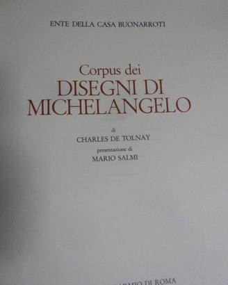 CORPUS di MICHELANGELO