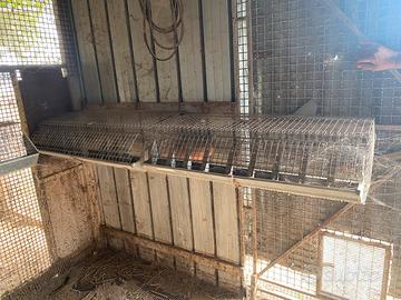 Gabbie per conigli