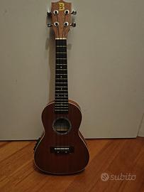 Ukulele concerto 