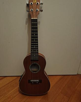 Ukulele concerto 
