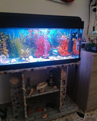Acquario