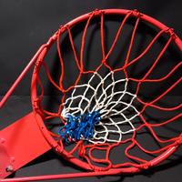 Cesto da basket pallacanestro 