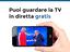 Immagine 6