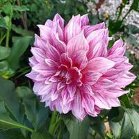 Servizio alla persona