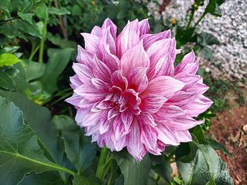 Servizio alla persona