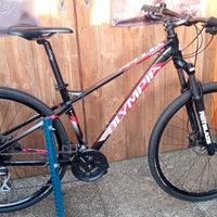 MTB Olympia Cobra 29"