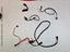 Immagine 15