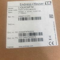 Endress+Hauser