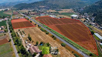 Terreno agricolo pianeggiante di 11 ettari