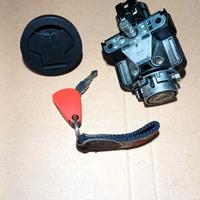 blocchetto aprilia sr max 125 250 300 gilera nexus