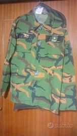 Costume di carnevale .