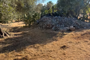 Terreno agricolo
