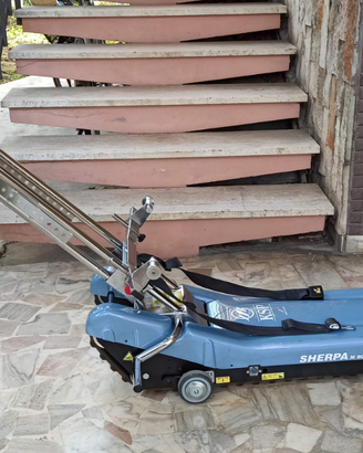 Montascale a cingoli