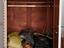 Immagine 3