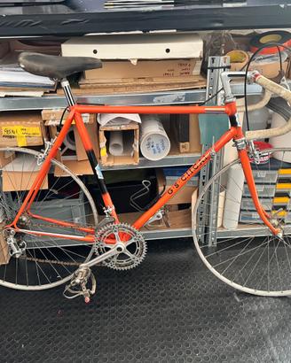 Bicicletta villa campagnolo