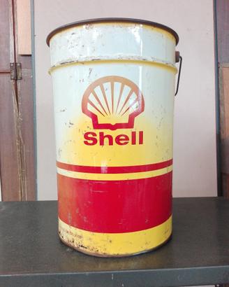 Shell Bidone da Collezione