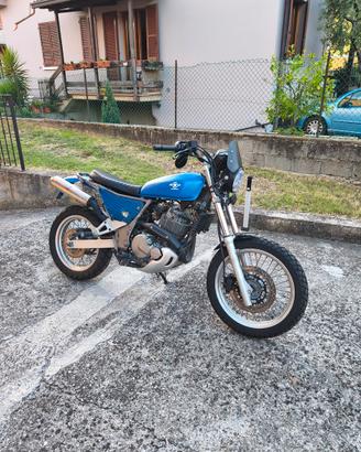 Suzuki xf scrambler