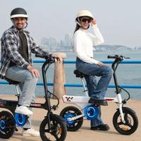Bicicletta Elettrica
