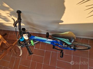 Bicicletta da bambino