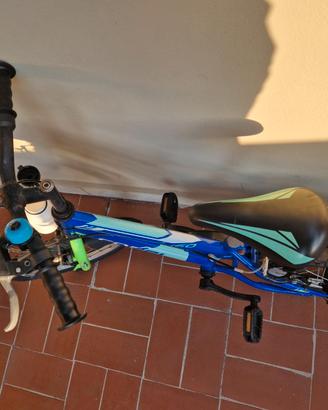 Bicicletta da bambino