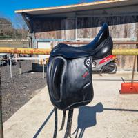Sella da Dressage 