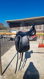 Sella da Dressage 