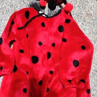 Costume da Coccinella 