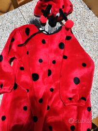 Costume da Coccinella 