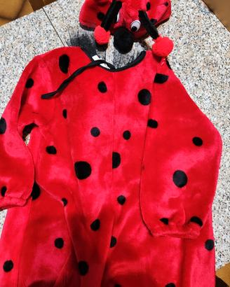 Costume da Coccinella 