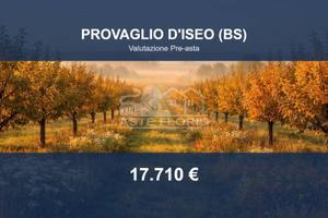 Immobile in asta di 7450 m² a Provaglio d'Iseo