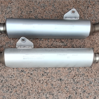 Scarichi Originali Ducati Monster. 900 ie /2001