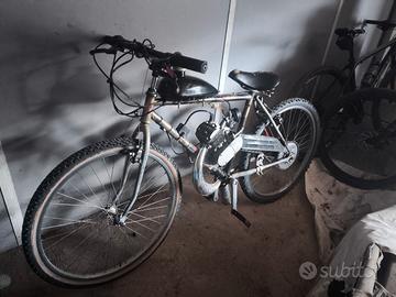 Bici Custom