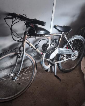 Bici Custom