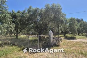Rustico / Casale di 35 m² con 1 locale a Andria